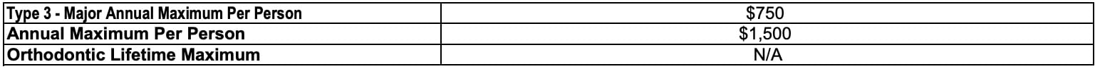 Plan Summary Annual Maximum