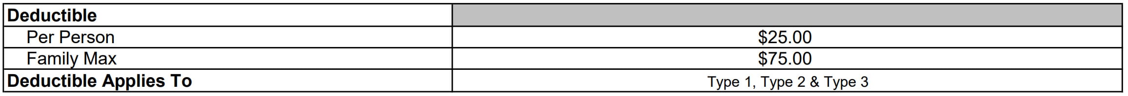 Plan Summary Deductibles
