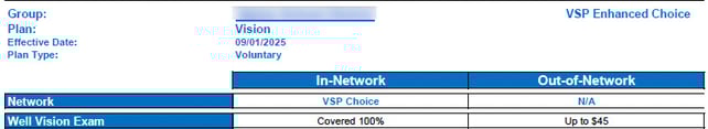 vision plan summary network