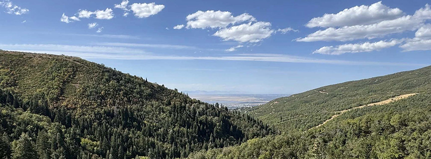 ELEPHANT ROCK TRAIL
